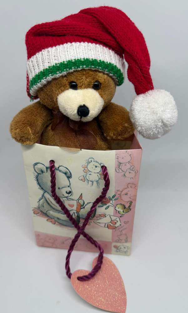 Christmas Bear In Bag X 45