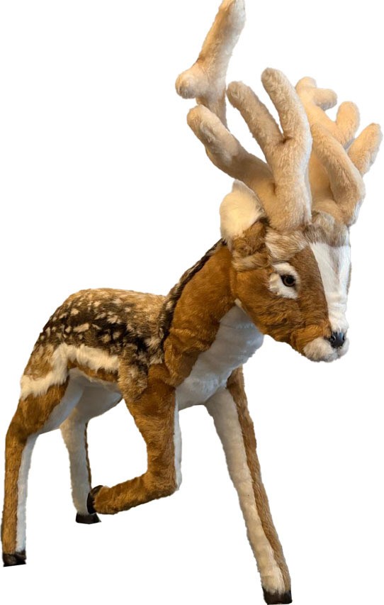 Animated Standing Reindeer