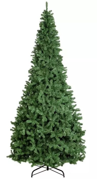 Green Fir Tree