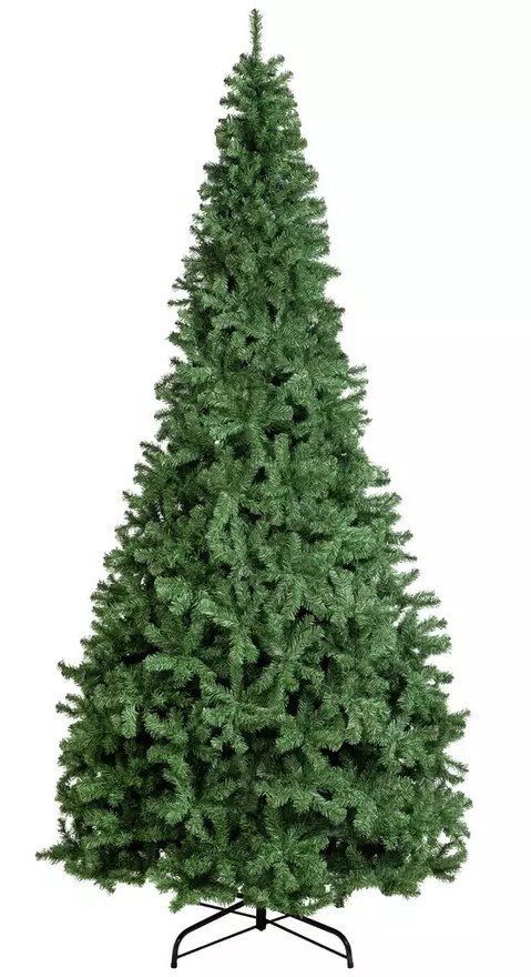 Green Fir Tree